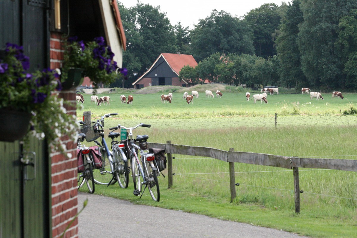 Toeristische arrangementen