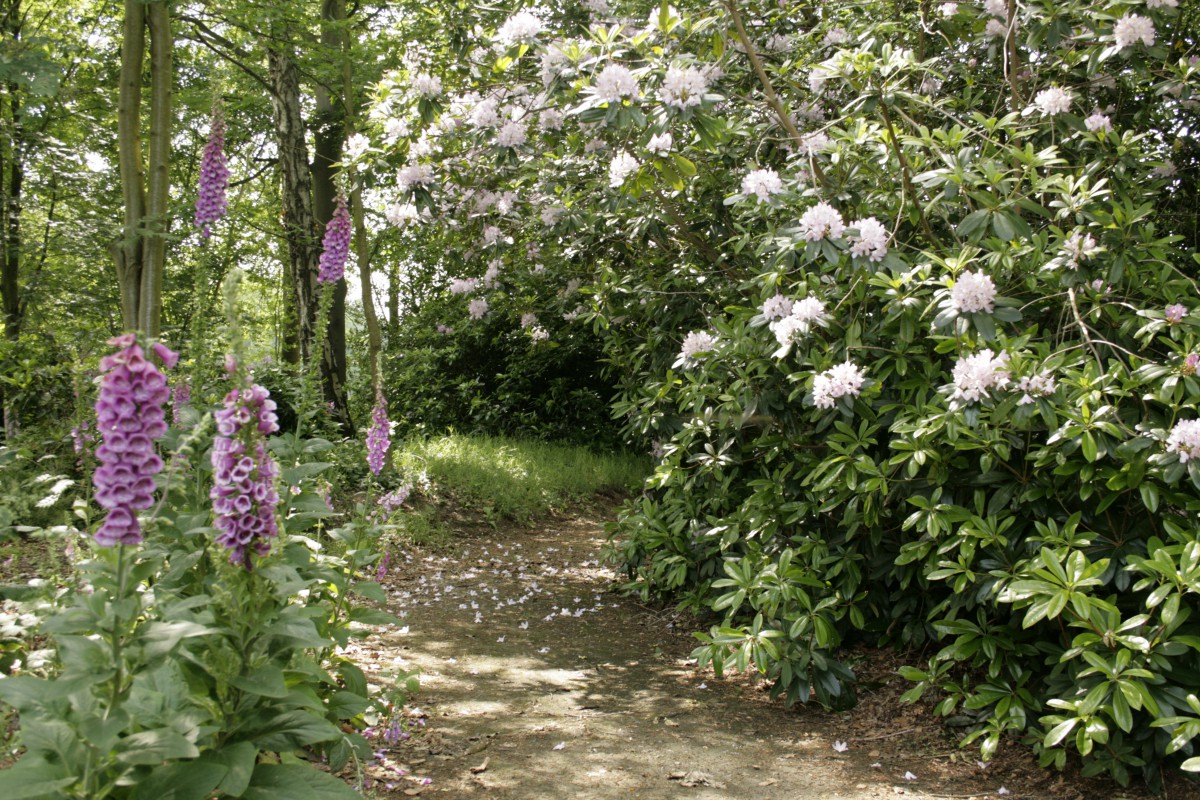 Parktuin De Zwanenhof