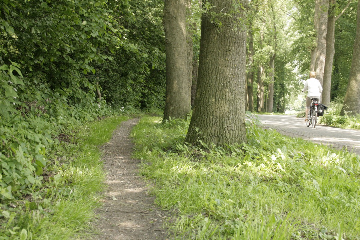 Wandelommetjes Zenderen